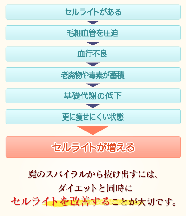 P.R. CELLでセルライトを撃退！ | 渋谷桜丘町にある隠れ家エステサロン